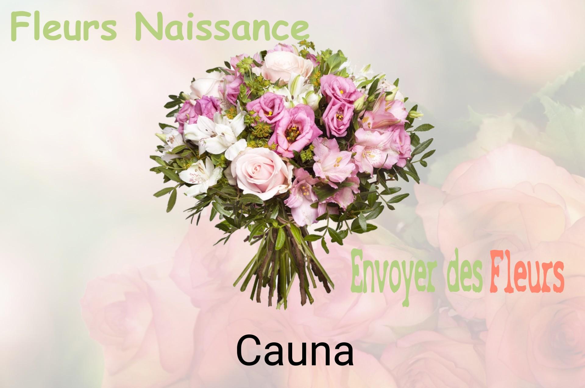 Bouquet de fleurs de naissance livré à Cauna