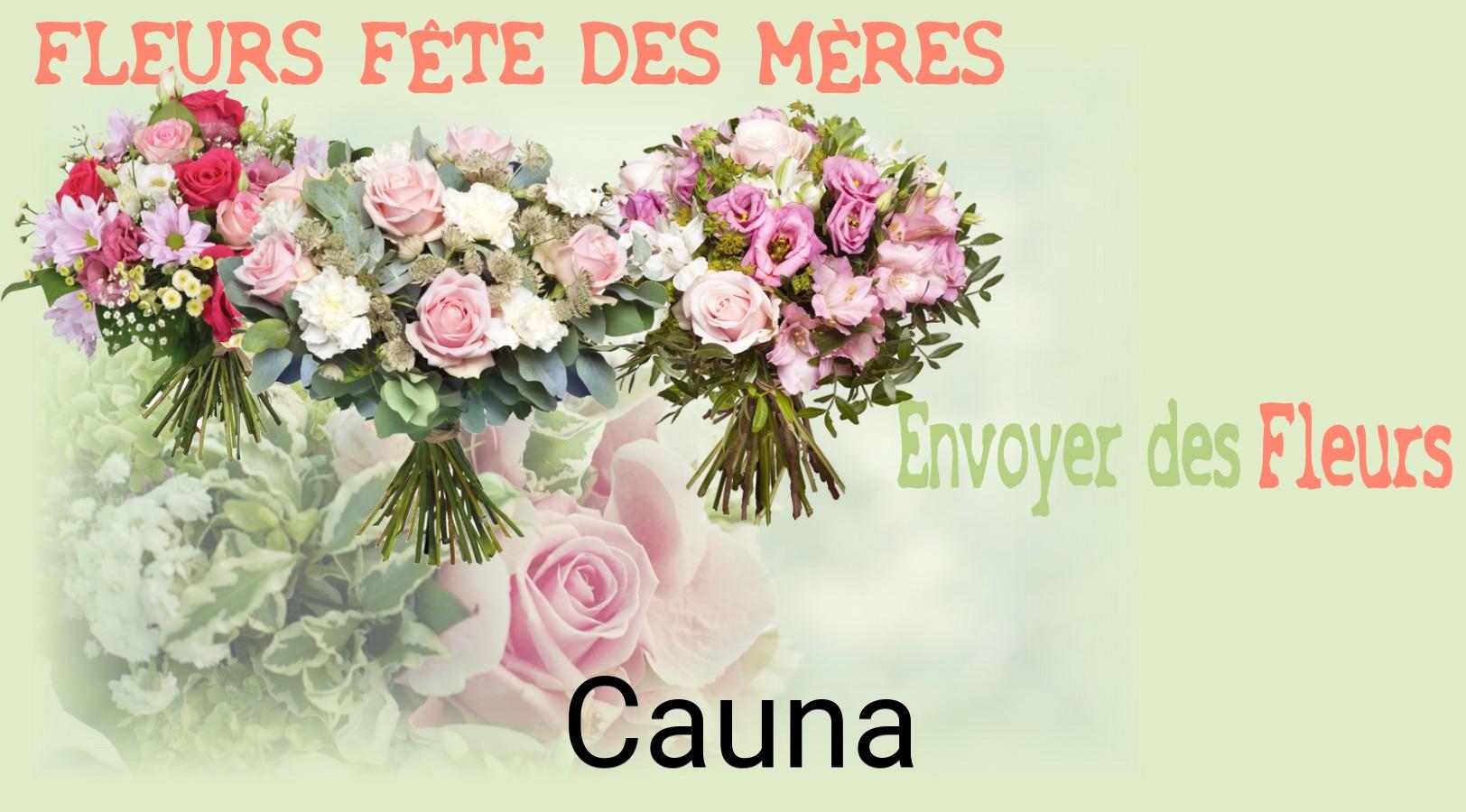 Bouquet de Fête des Mères livré à Cauna